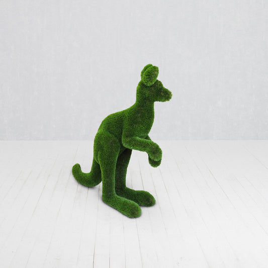 Canguro Piccolo