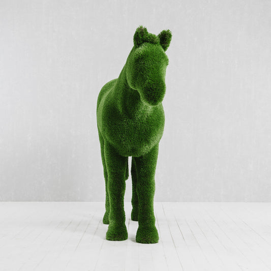 Cavallo