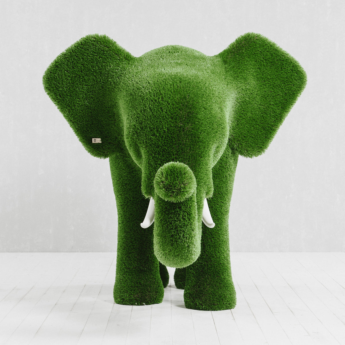 Elefante Standard