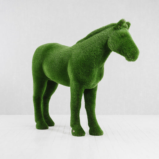 Cavallo
