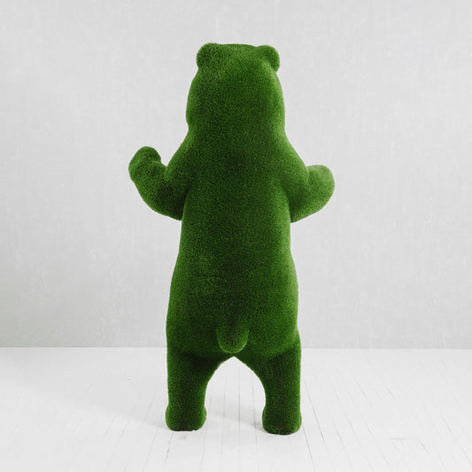Orso Grande