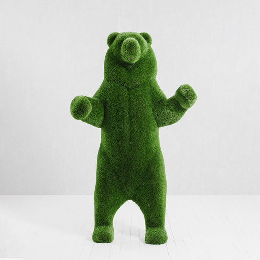 Orso Grande