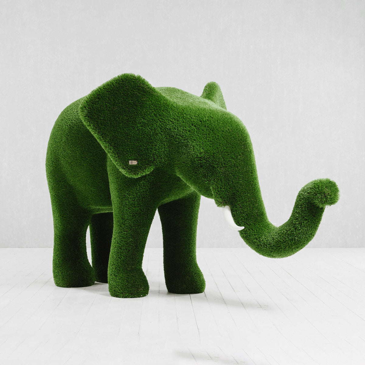 Elefante Standard