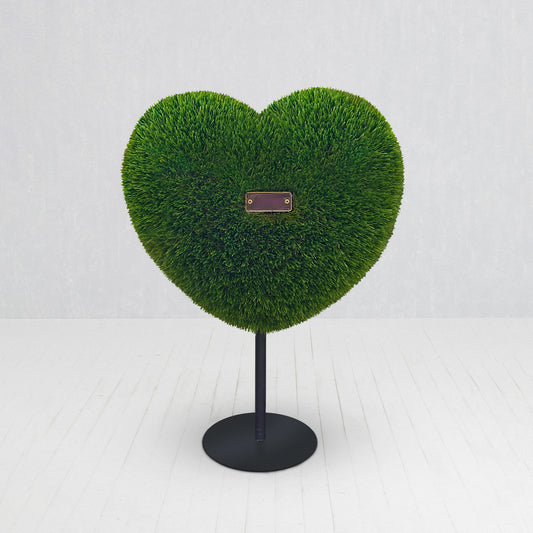 Cuore piccolo