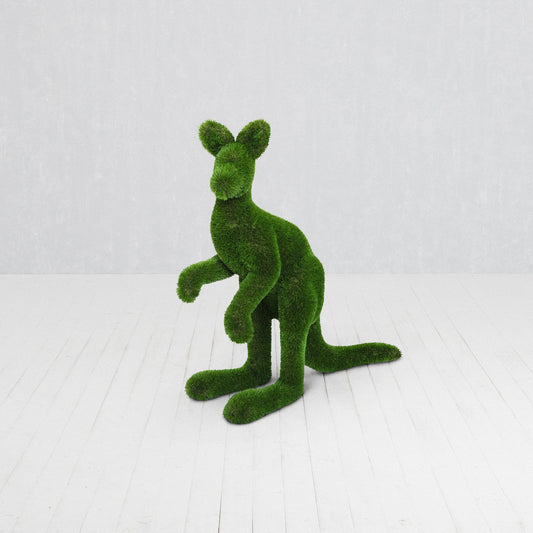 Canguro Piccolo