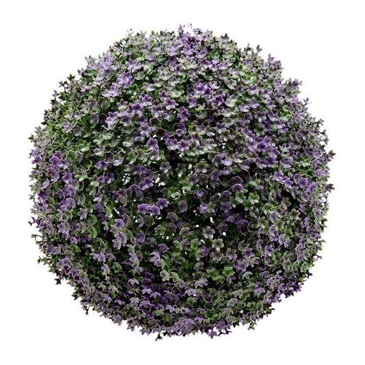 Star - Viola