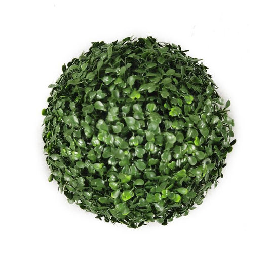 Boxwood
