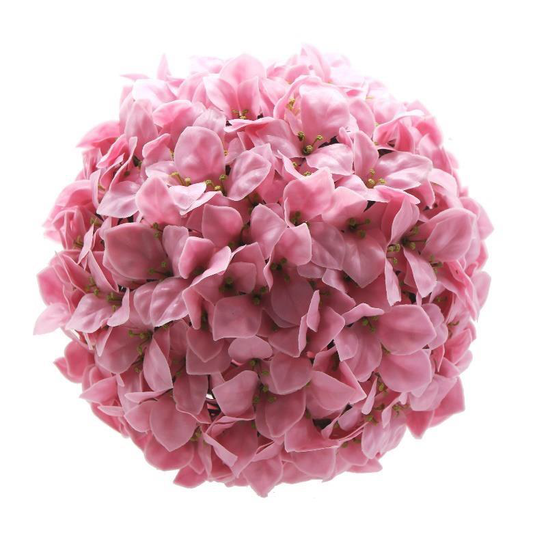 Gardenia (Rosa)