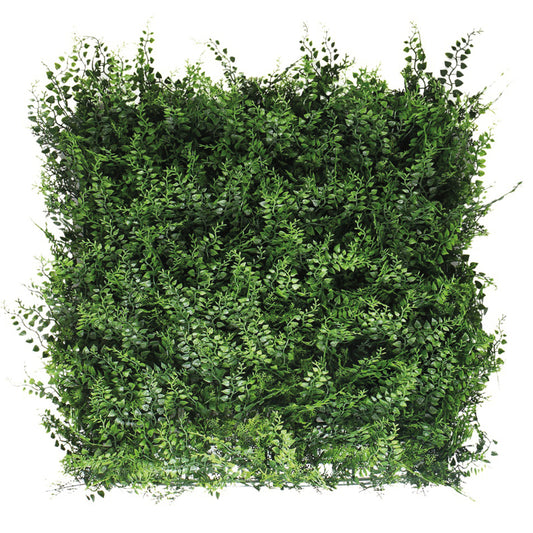 FERN