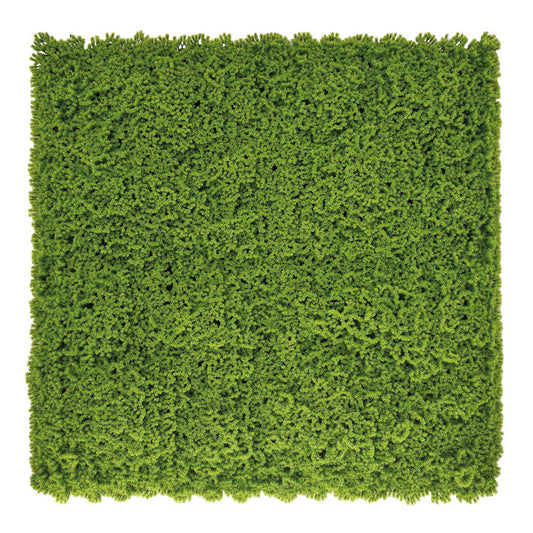 MOSS