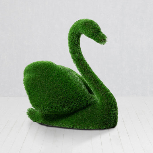 Cigno Piccolo